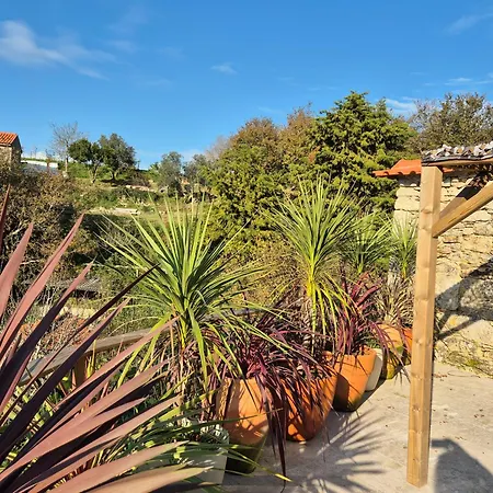 Tatil Evi Casa Maria Valenca