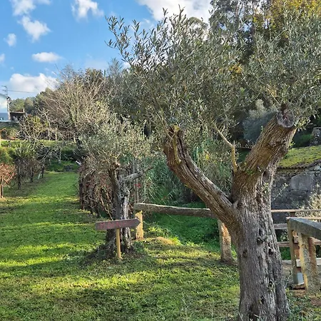 Tatil Evi Casa Maria Valenca