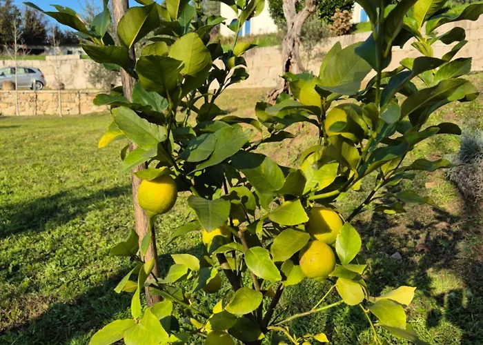Nyaraló Casa Maria *